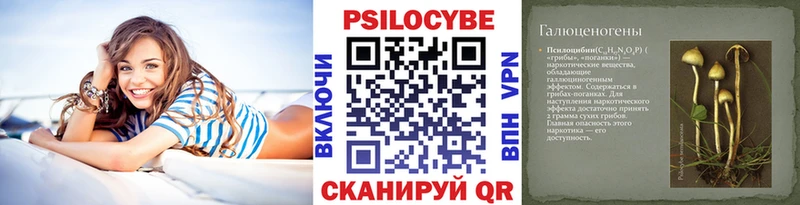 Галлюциногенные грибы Psilocybe  OMG tor  Домодедово  наркошоп 